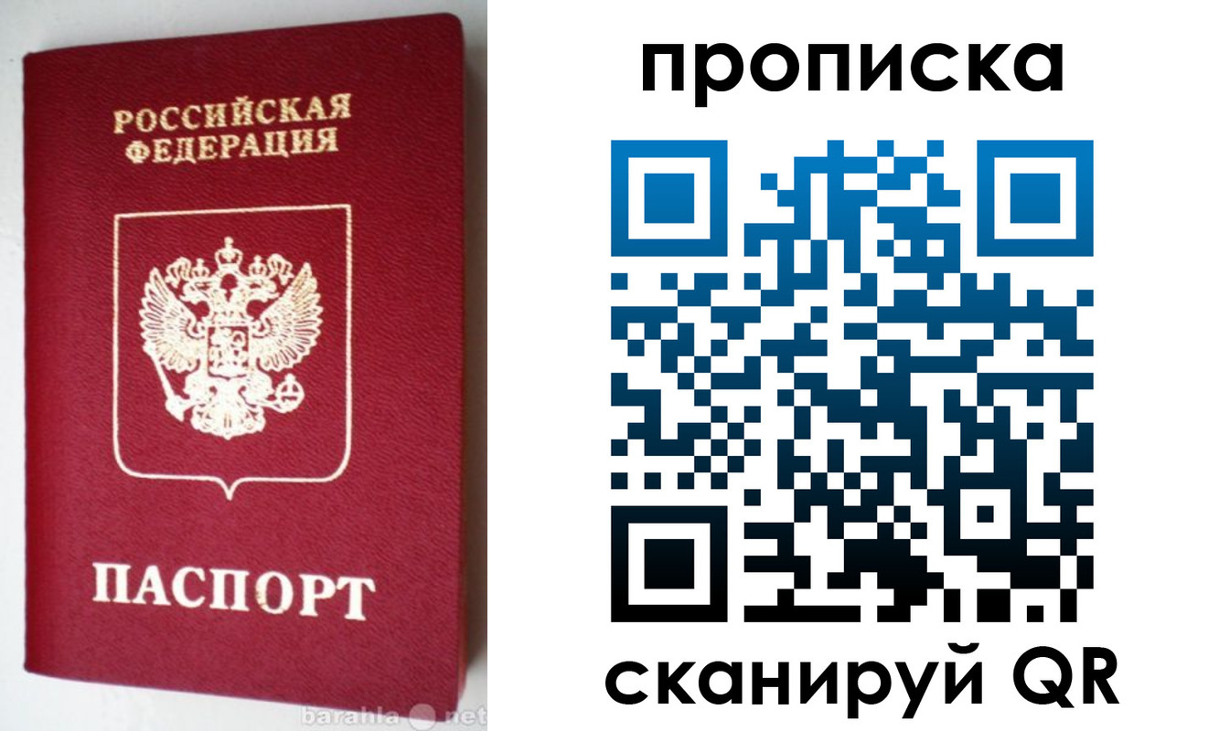 прописка поиск в Зее